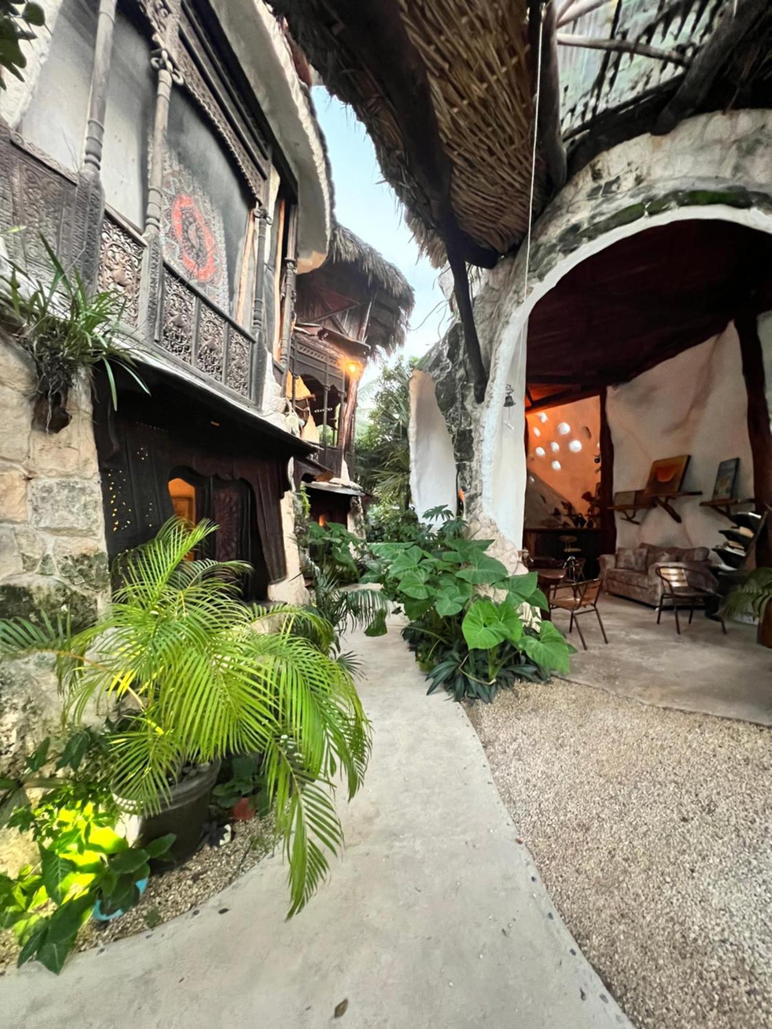 La Quinta Orquídea Acomodação com café da manhã Puerto Morelos Exterior foto