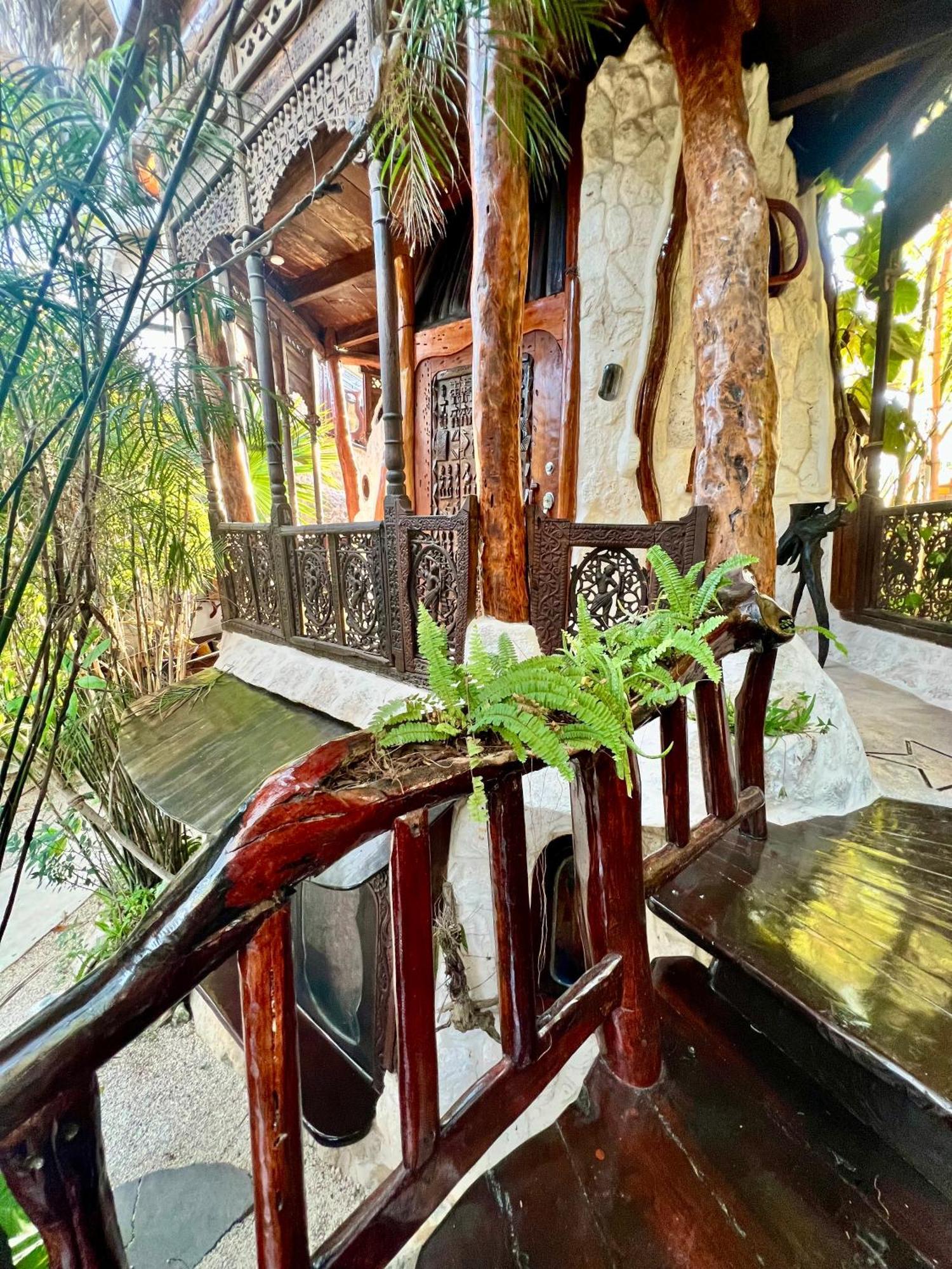 La Quinta Orquídea Acomodação com café da manhã Puerto Morelos Exterior foto