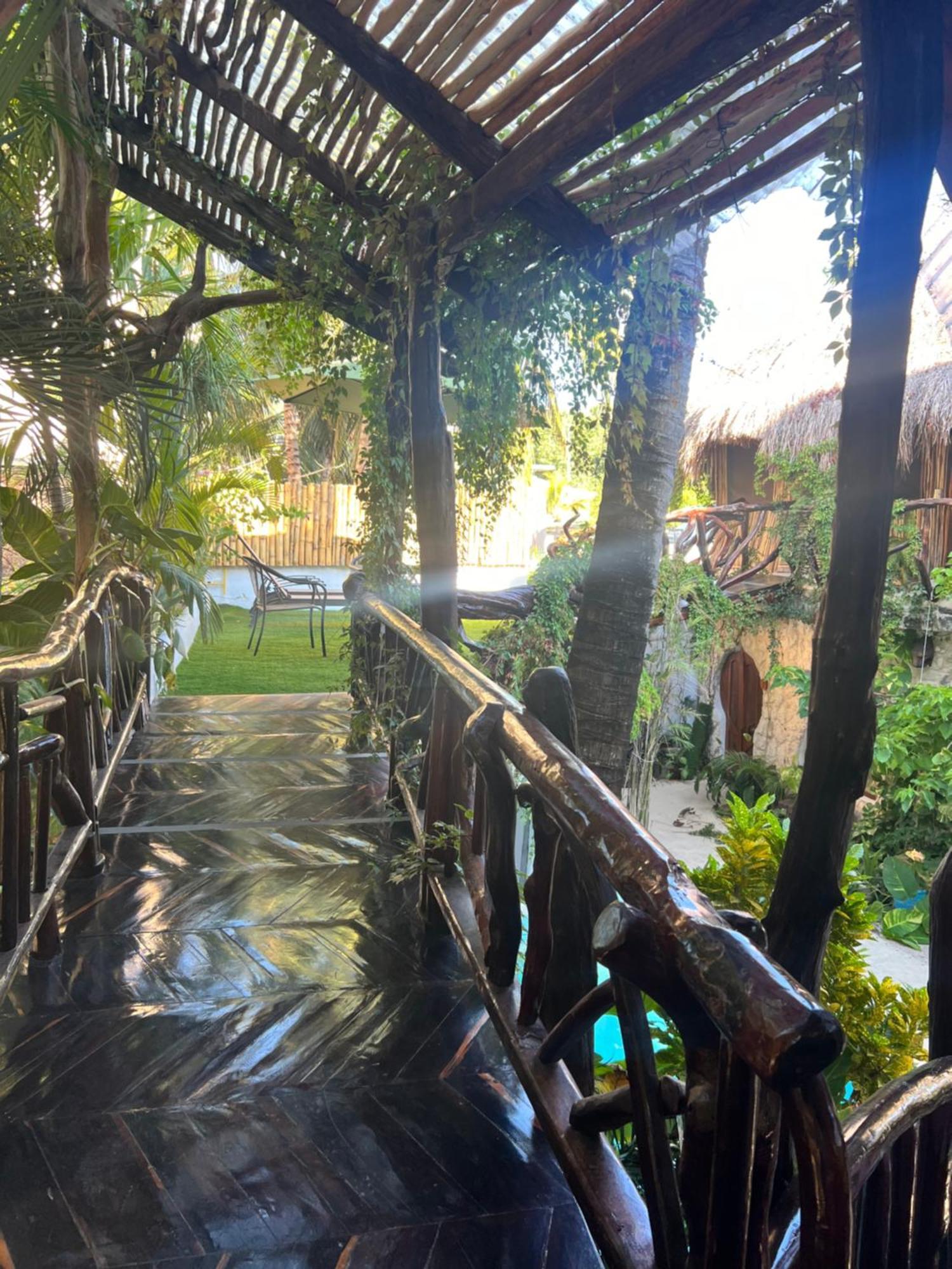La Quinta Orquídea Acomodação com café da manhã Puerto Morelos Exterior foto