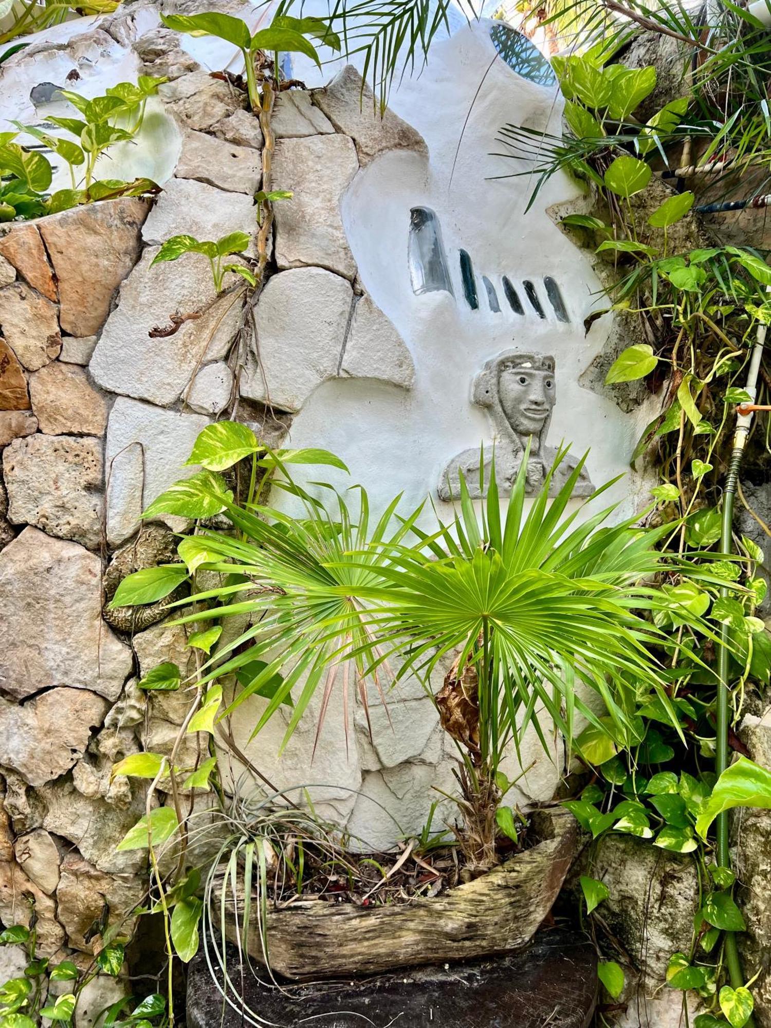 La Quinta Orquídea Acomodação com café da manhã Puerto Morelos Exterior foto