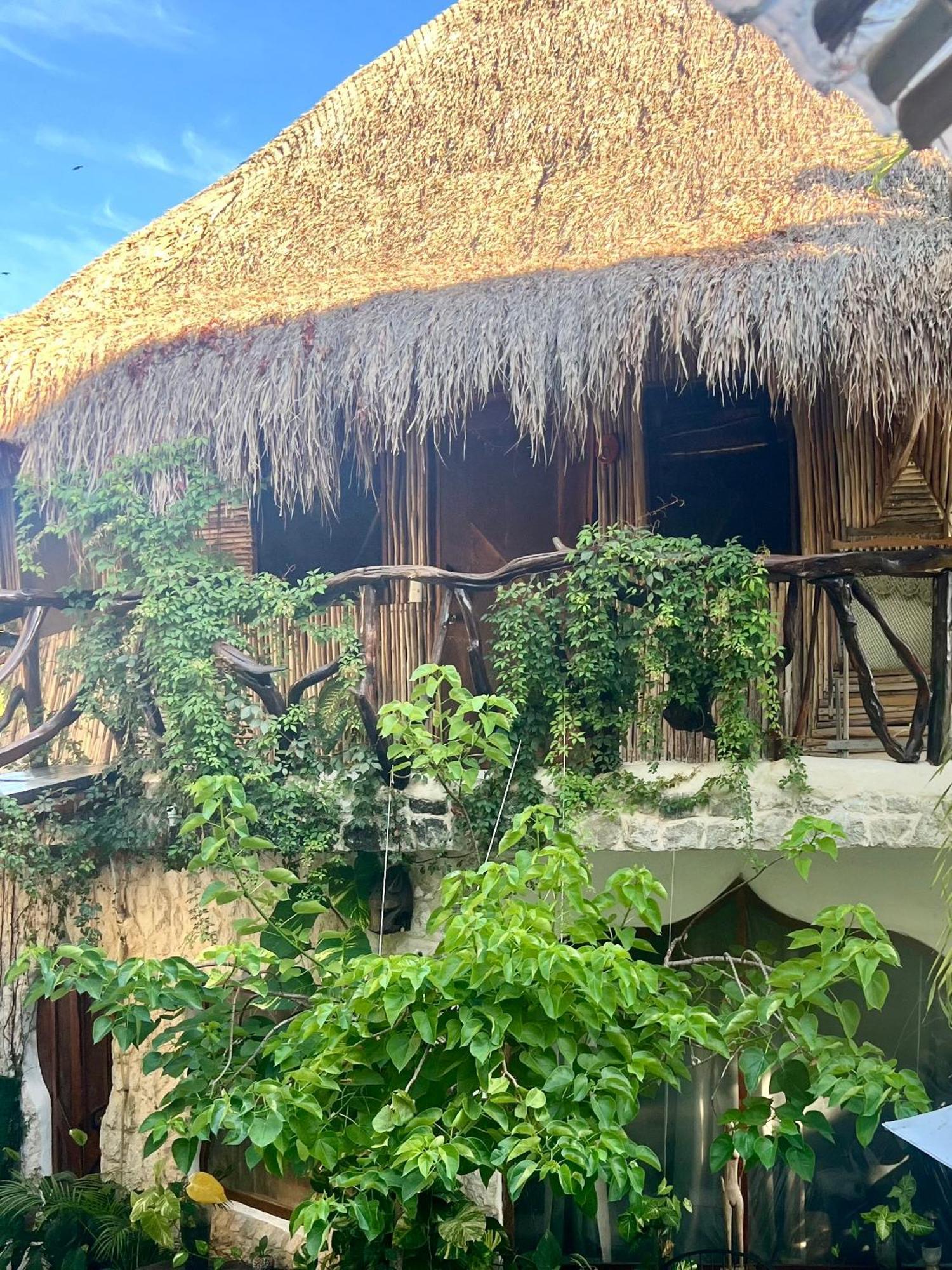La Quinta Orquídea Acomodação com café da manhã Puerto Morelos Exterior foto