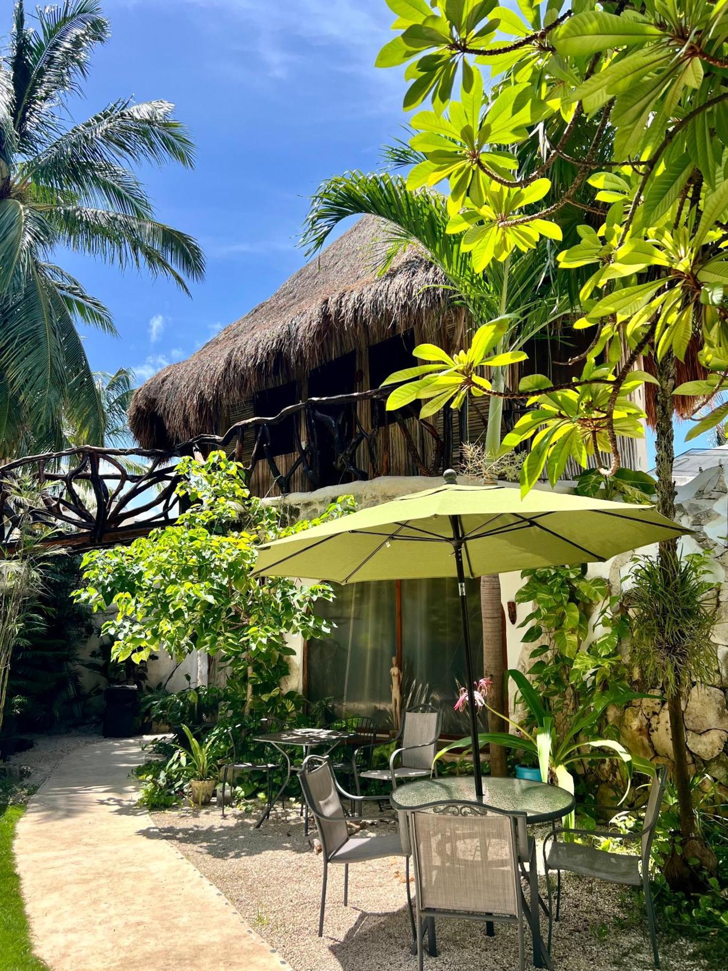La Quinta Orquídea Acomodação com café da manhã Puerto Morelos Exterior foto