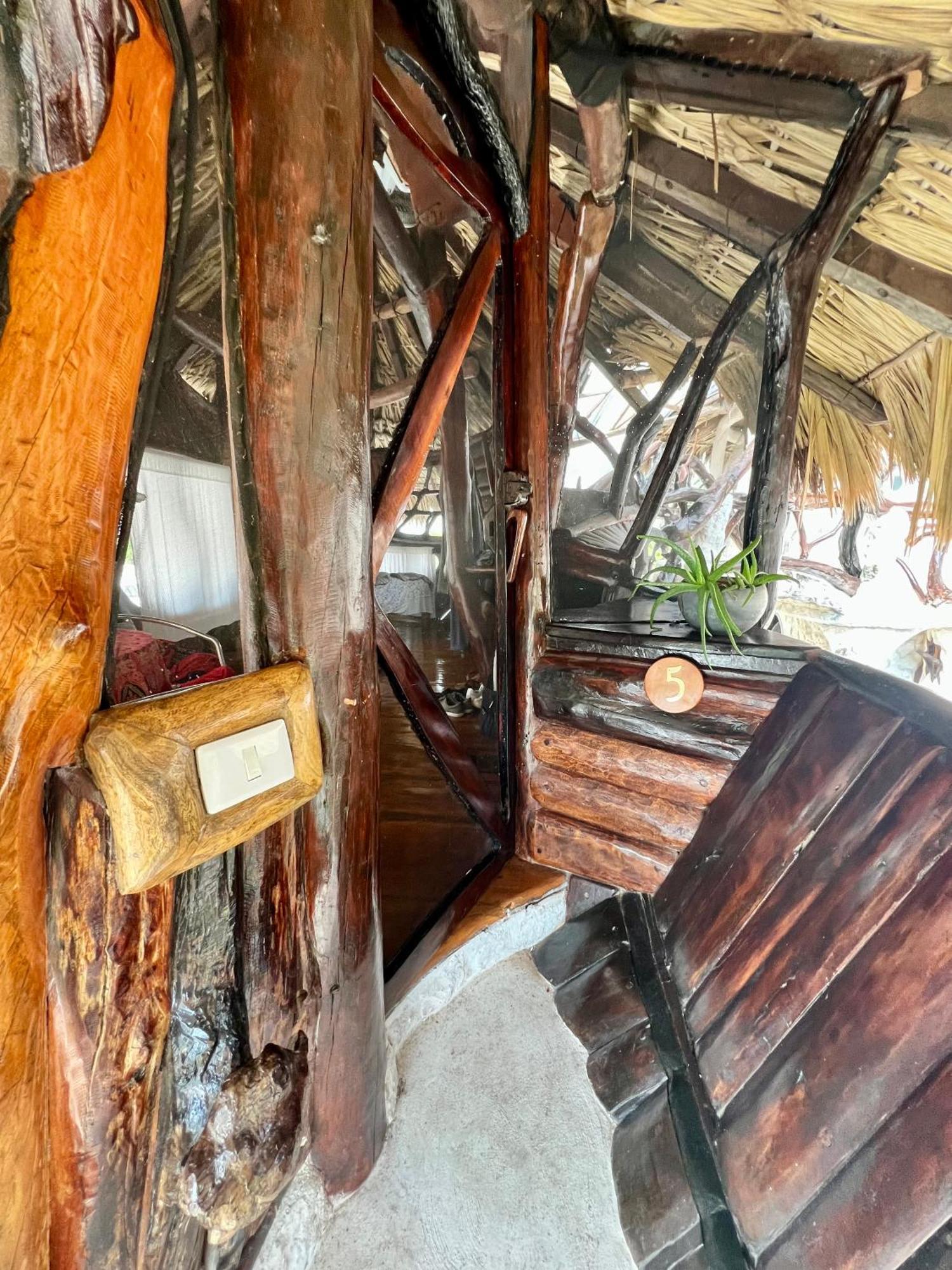 La Quinta Orquídea Acomodação com café da manhã Puerto Morelos Exterior foto