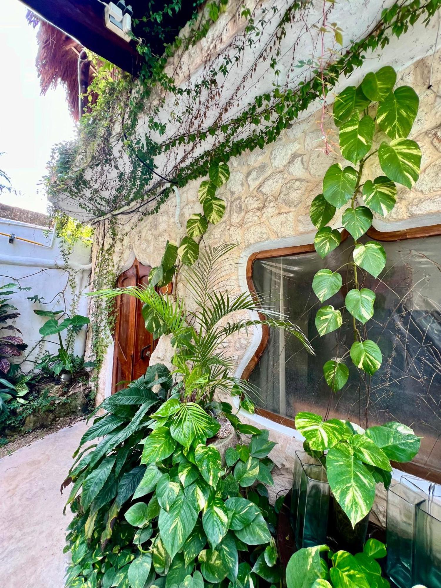 La Quinta Orquídea Acomodação com café da manhã Puerto Morelos Exterior foto