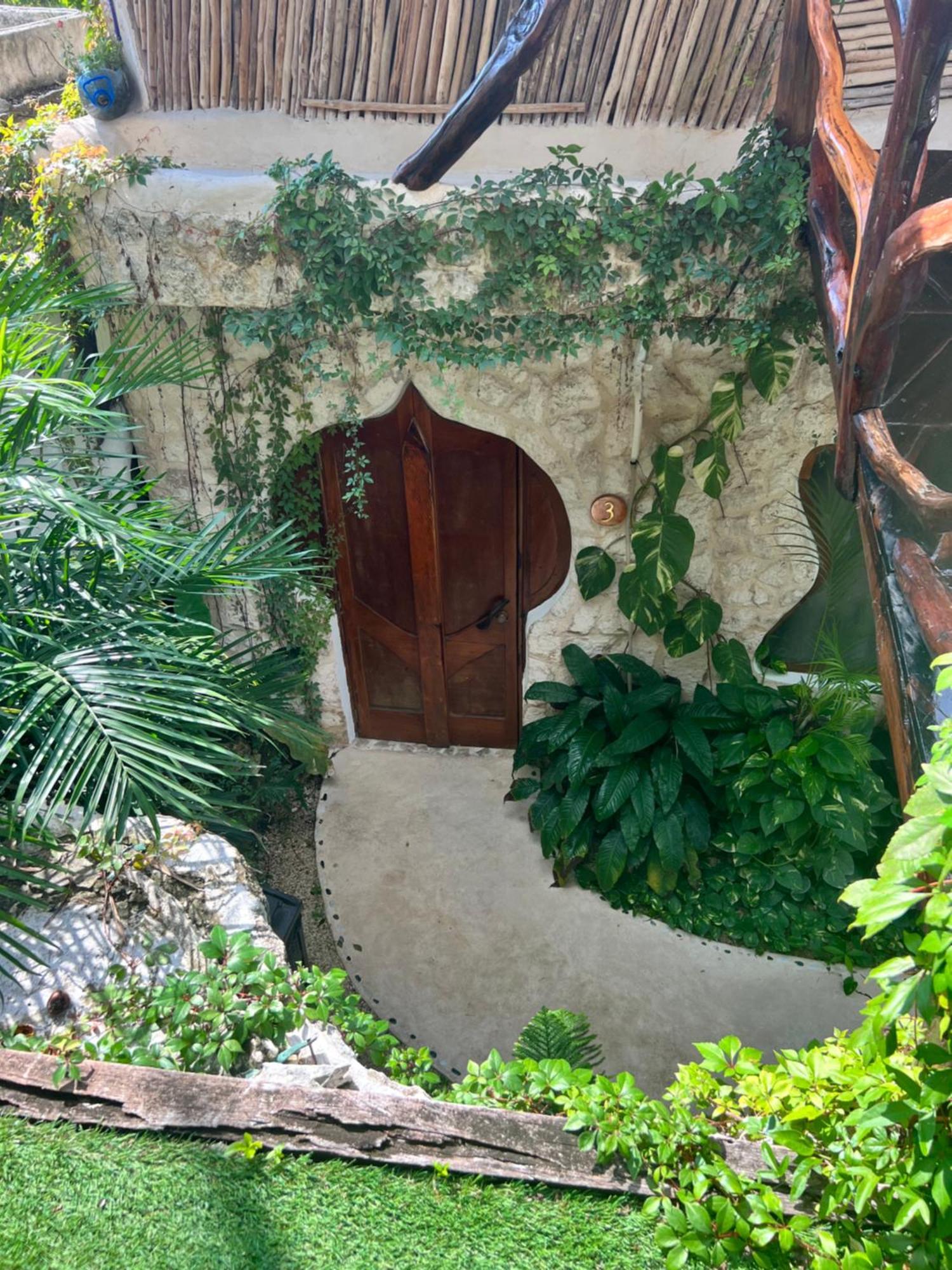 La Quinta Orquídea Acomodação com café da manhã Puerto Morelos Exterior foto