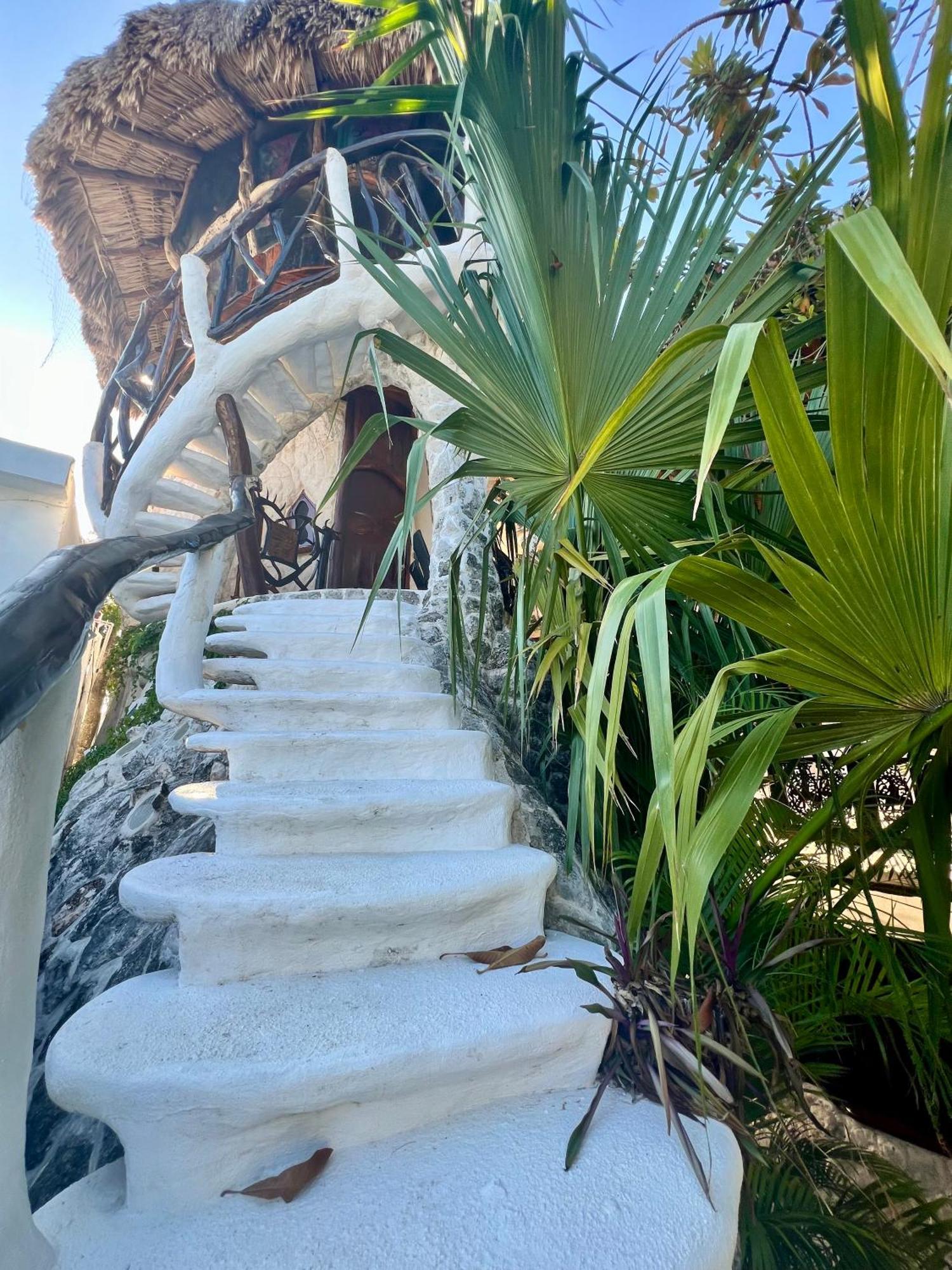 La Quinta Orquídea Acomodação com café da manhã Puerto Morelos Exterior foto