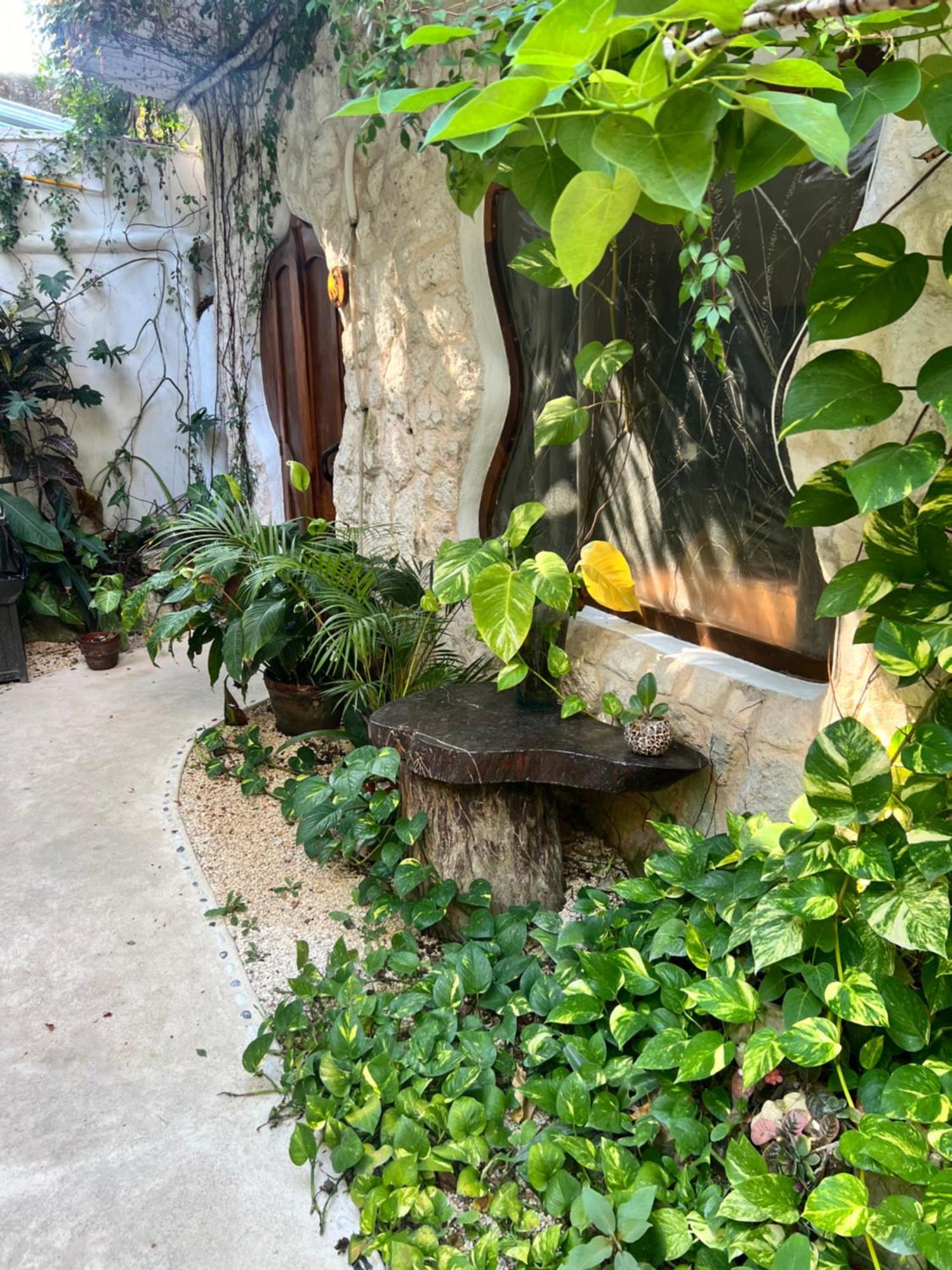 La Quinta Orquídea Acomodação com café da manhã Puerto Morelos Exterior foto