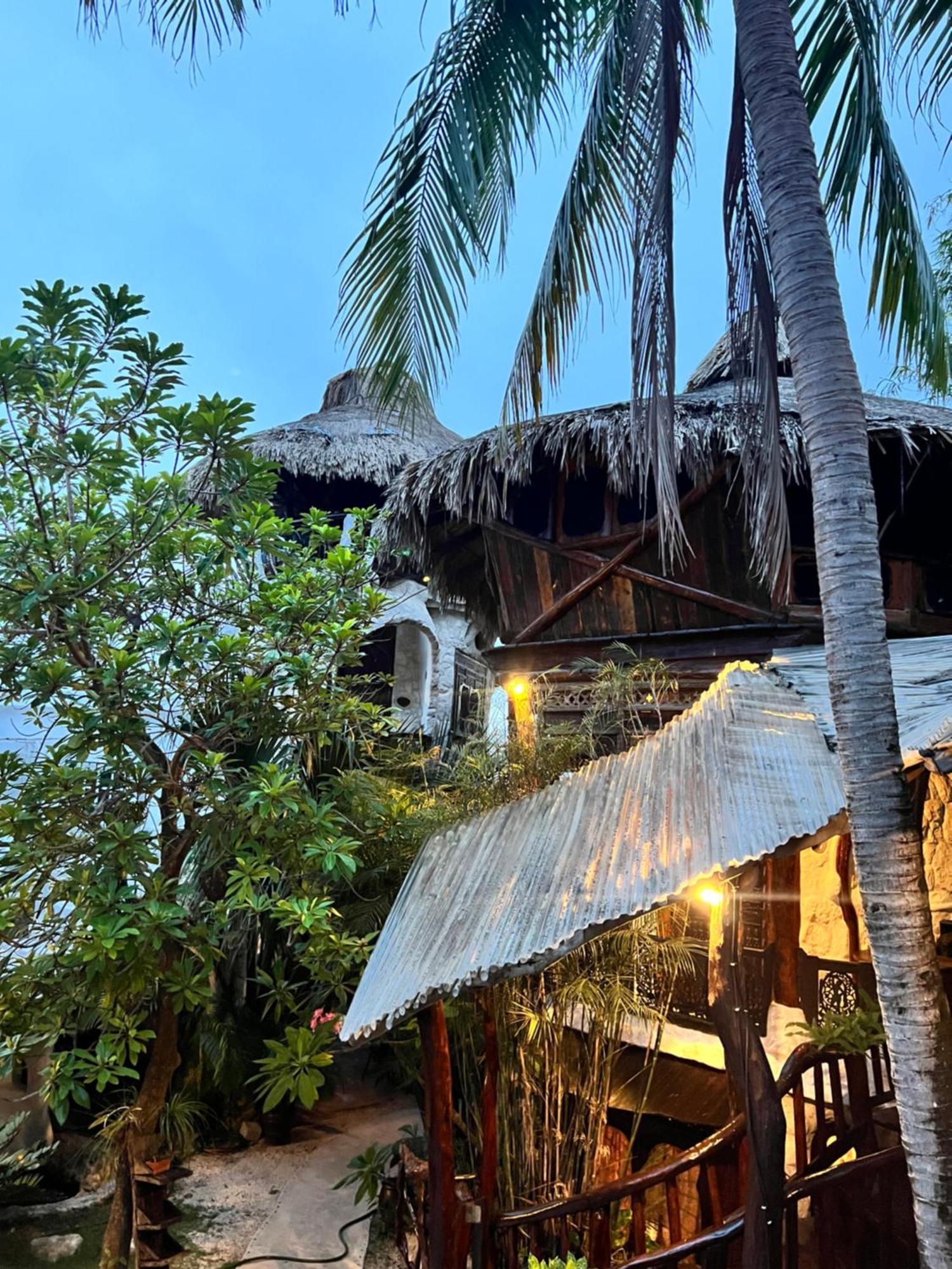 La Quinta Orquídea Acomodação com café da manhã Puerto Morelos Exterior foto